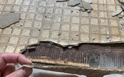 Guidelines For the Use of Encapsulants on Asbestos-Containing Materials