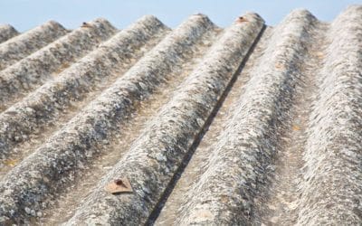 Encapsulation vs Removal: Which Is Better for Asbestos Flooring?