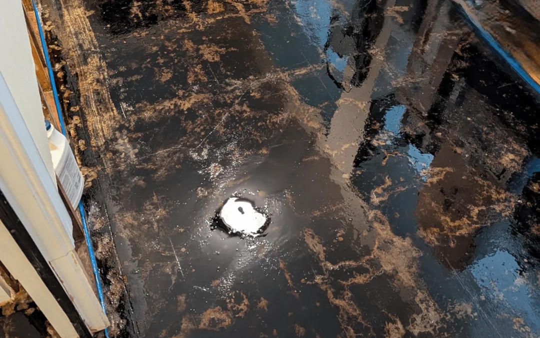 The Hidden Nightmare of Black Mastic Removal: A Real Customer’s Journey to Finding the Perfect Solution